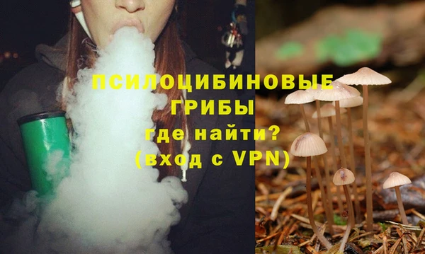 кокс Алзамай